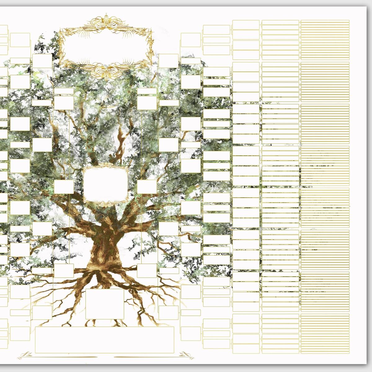 41 Free Family Tree Templates Word Excel PDF PowerPoint