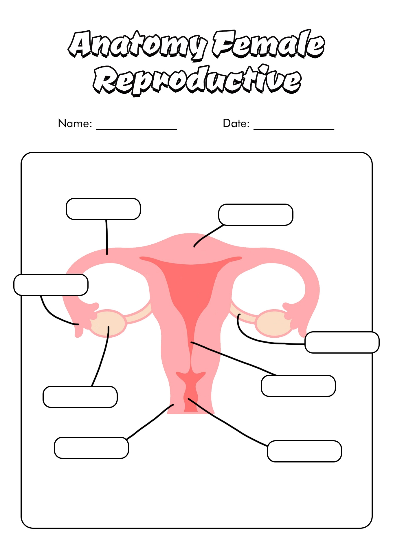 12 Blank Anatomy Worksheets Free PDF At Worksheeto