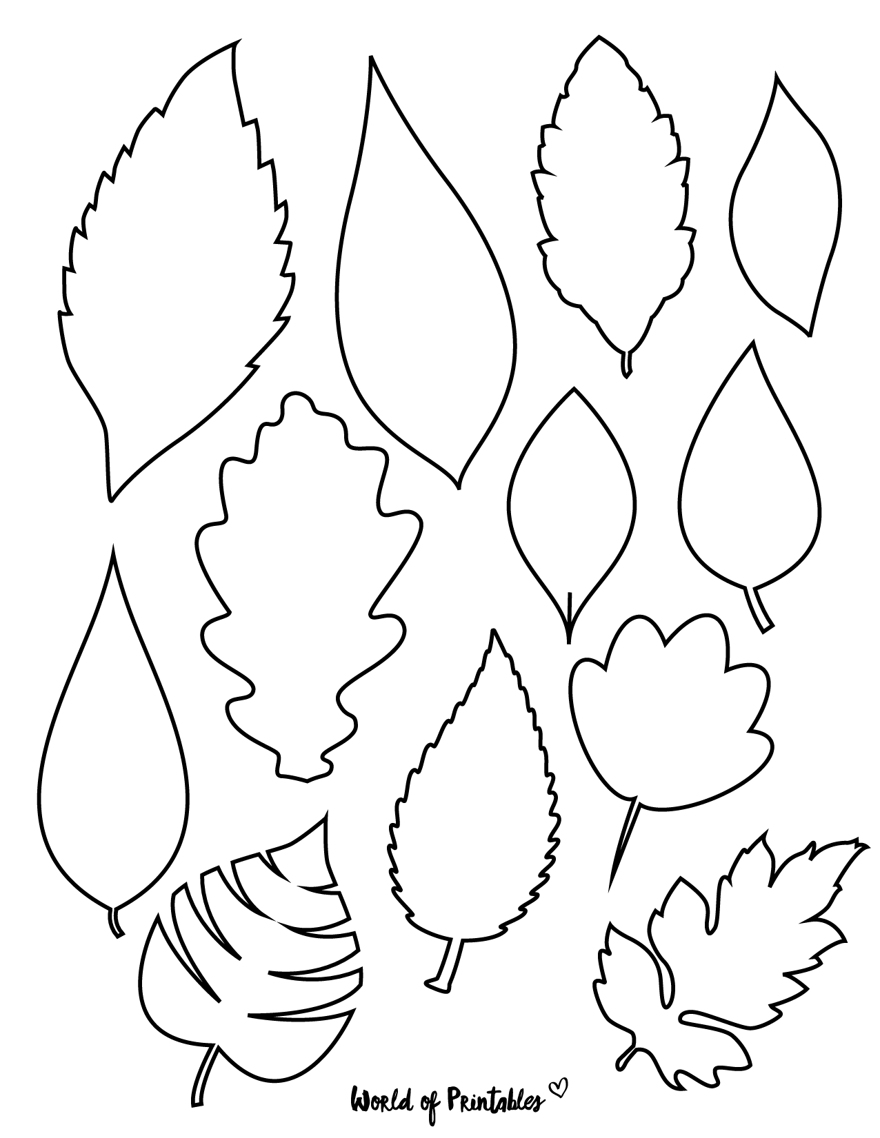 Identification Chart Leaves Of Trees And Shrubs Iris Luckhaus Illustration Design