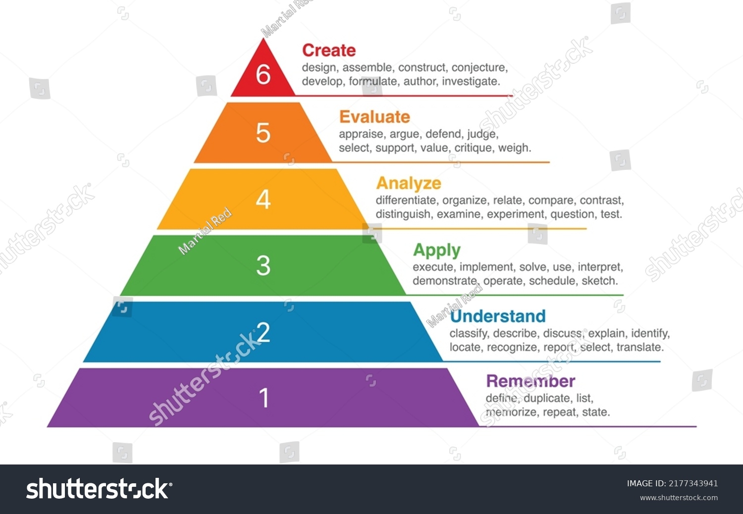 43 Blooms Taxonomy Model Royalty Free Images Stock Photos Pictures Shutterstock