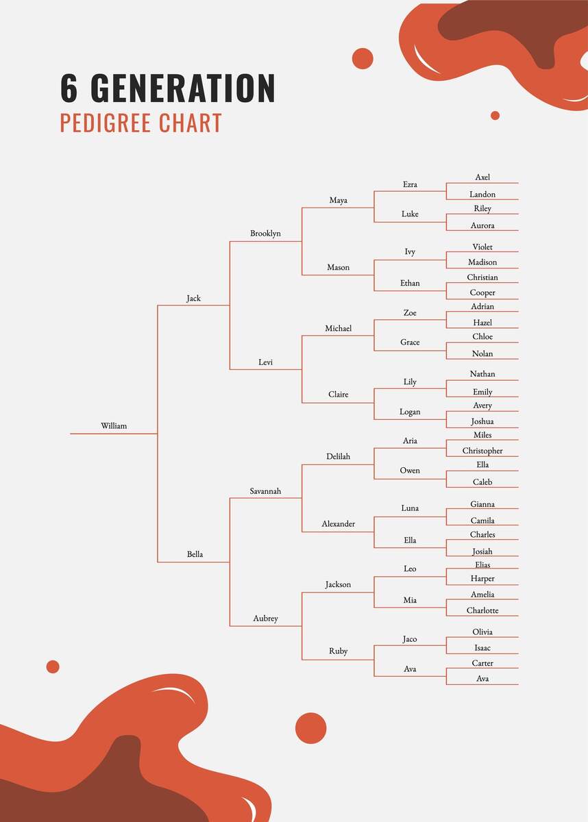 6 Generation Pedigree Chart In Illustrator PDF Download Template