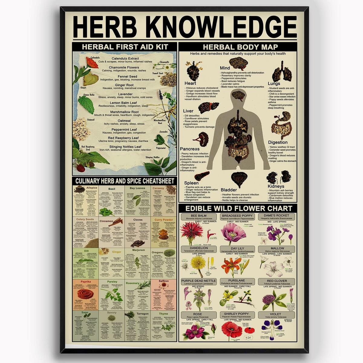 Amazon Herbs Spices Cheat Sheet Kitchen Wall Decor Infographic Spice Chart Poster Canvas Art Posters Home Bedroom Decor Room Aesthetics Decorative Paintings 08x12inch 20x30cm Posters Prints