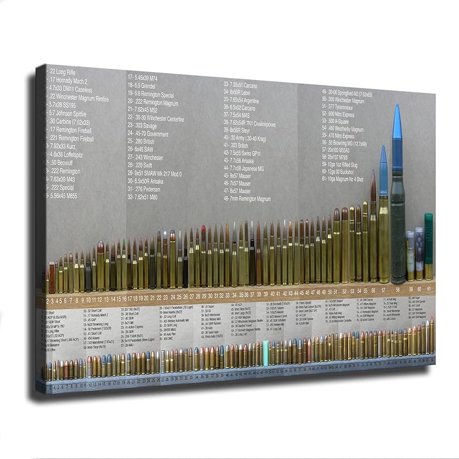 Amazon PemzYb American Bullets Chart Posters Bullet Caliber Type Chart Poster Wall Art Canvas Painting HD Picture Print For Modern Family Living Room Bedroom Background Wall Decor 08 12inch No Framed Posters