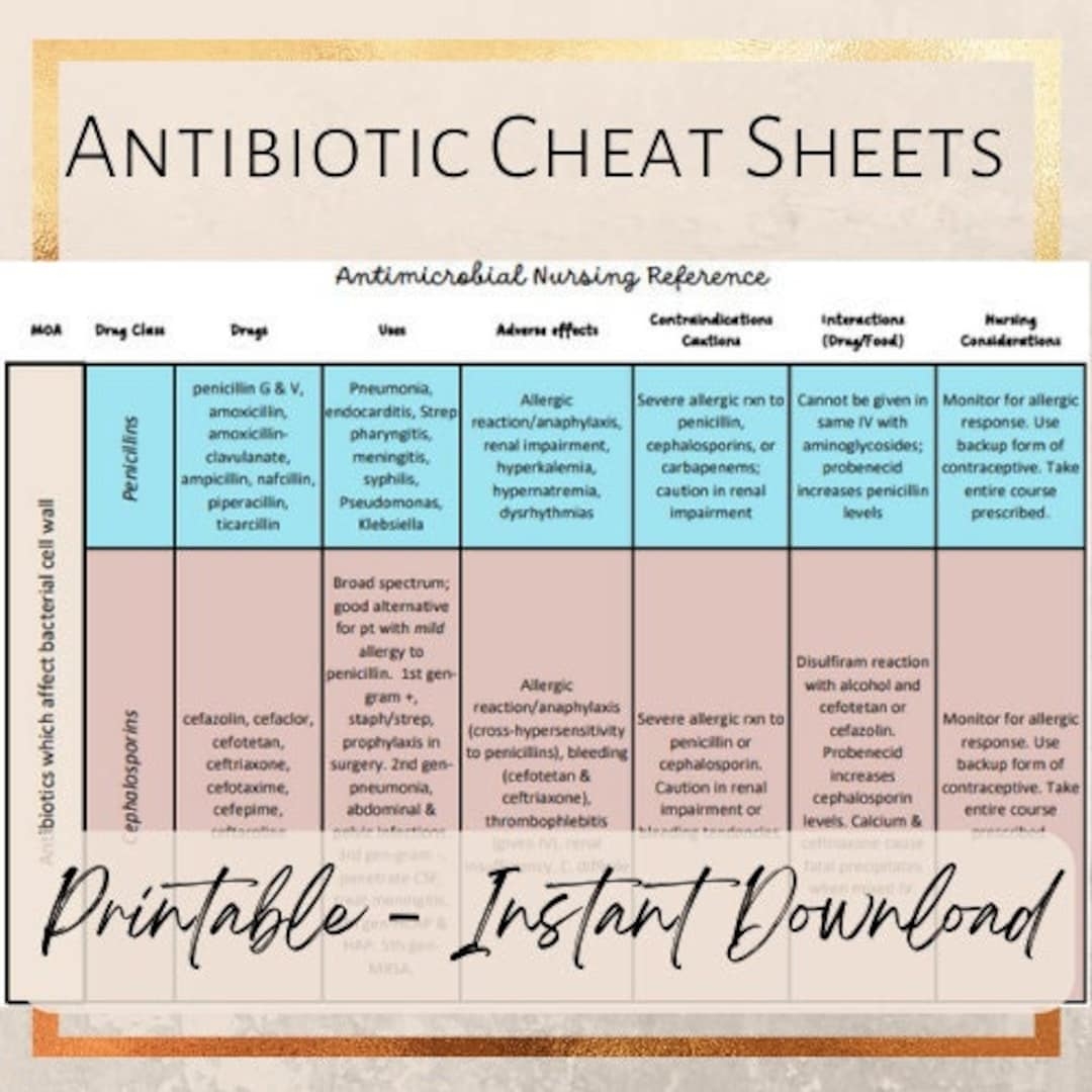 Bacterial Organisms And Antibiotic Treatment Chart Etsy