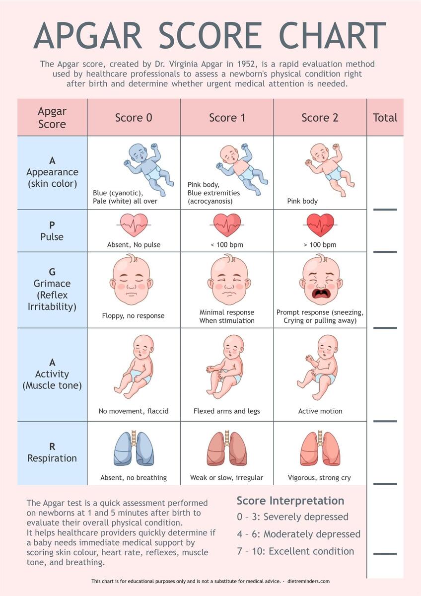 Apgar Score Chart Newborn Health Assessment Tool PDF Digital Download A4 Size Etsy UK