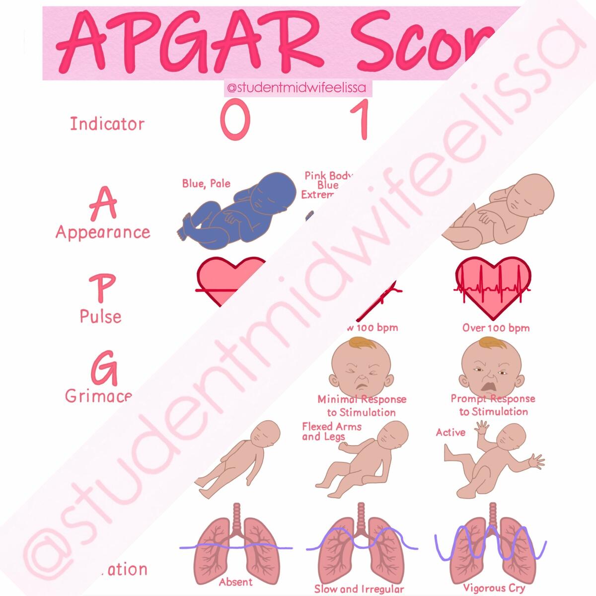 APGAR Score Digital Download For Midwifery Notes Etsy