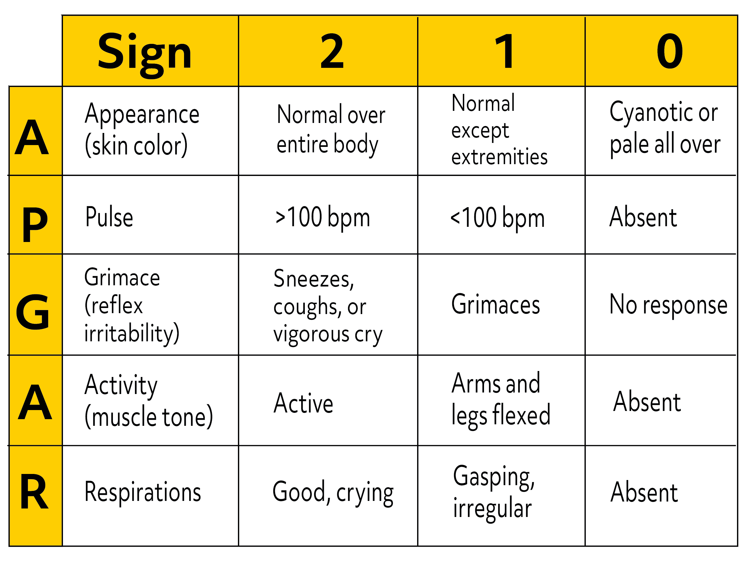 Apgar Sheet Printable