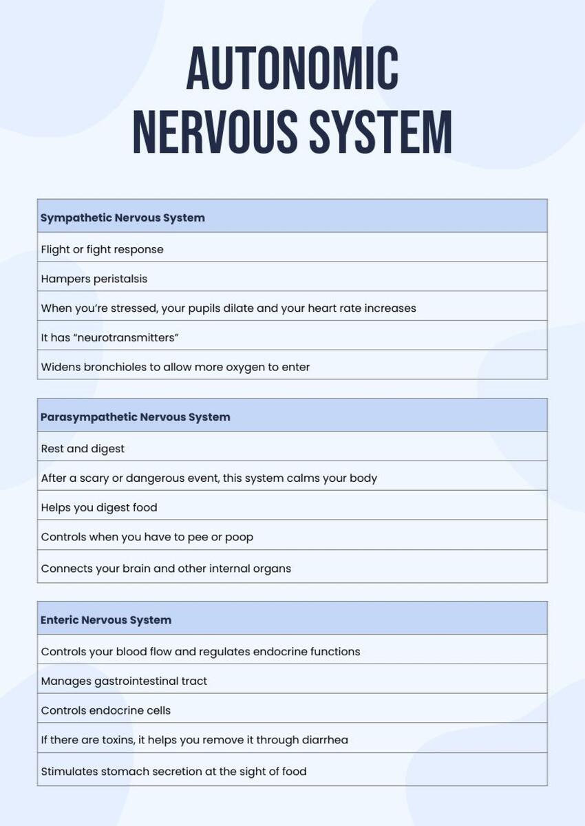 Autonomic Nervous System ANS Etsy