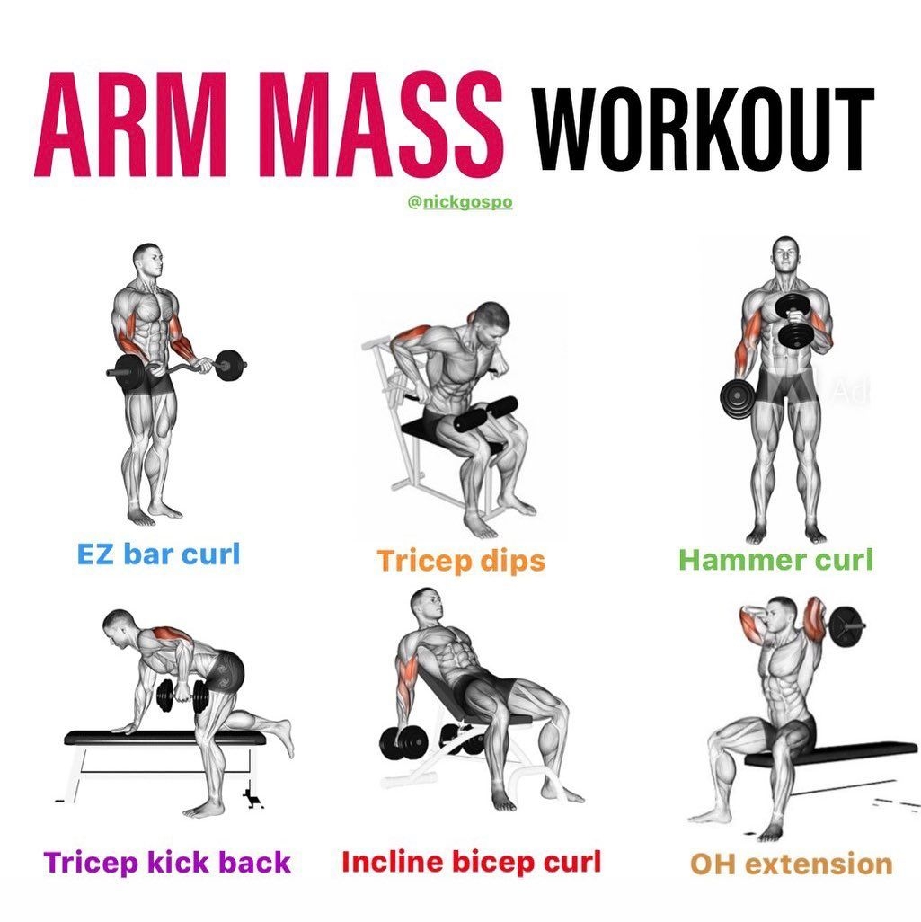 Back Biceps Curl Bar Workout Routine Workout Plan Different Curl Bar Exercises Shoulder Ez Bar Workout