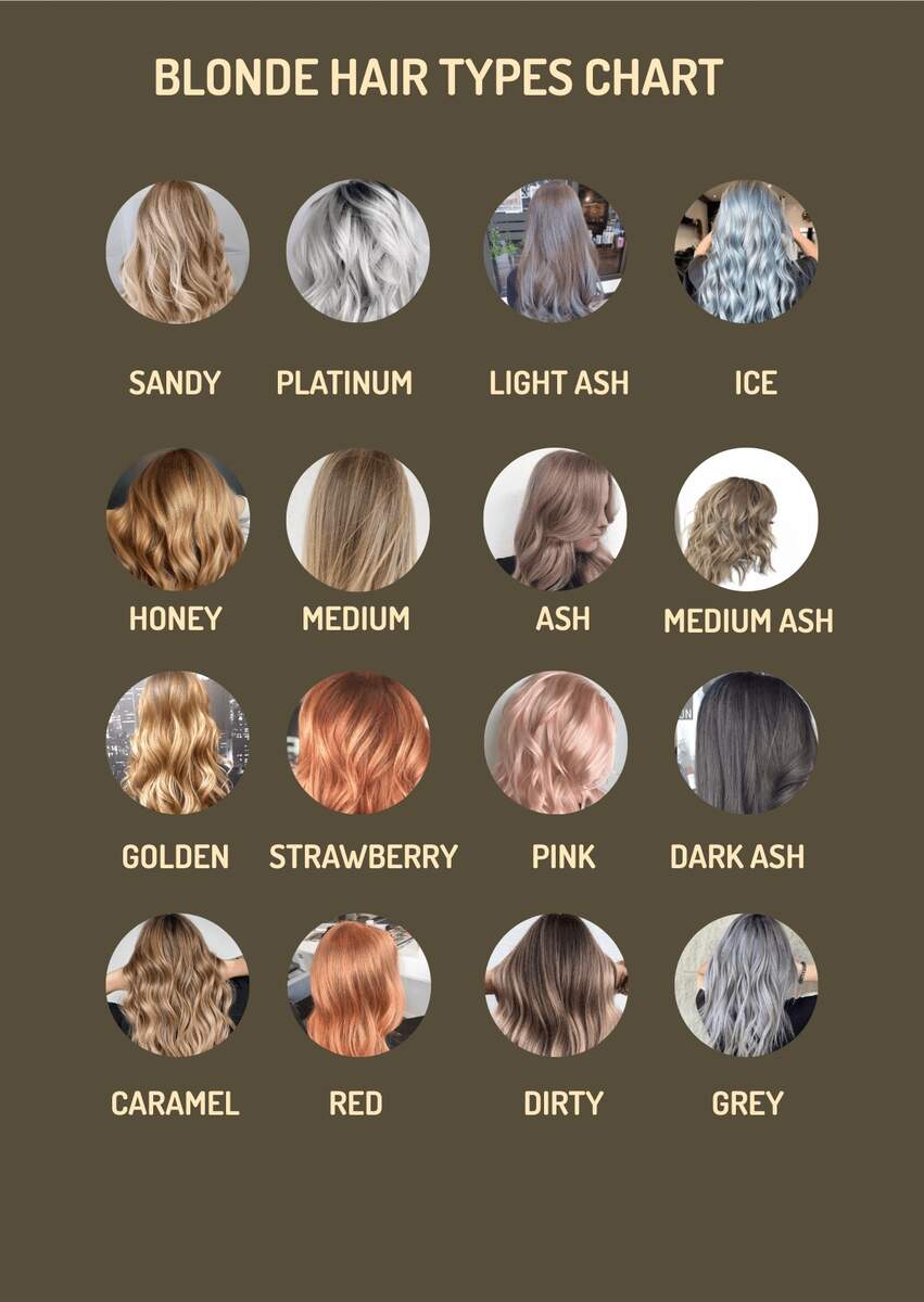 Blonde Hair Types Chart In PDF Illustrator Download Template