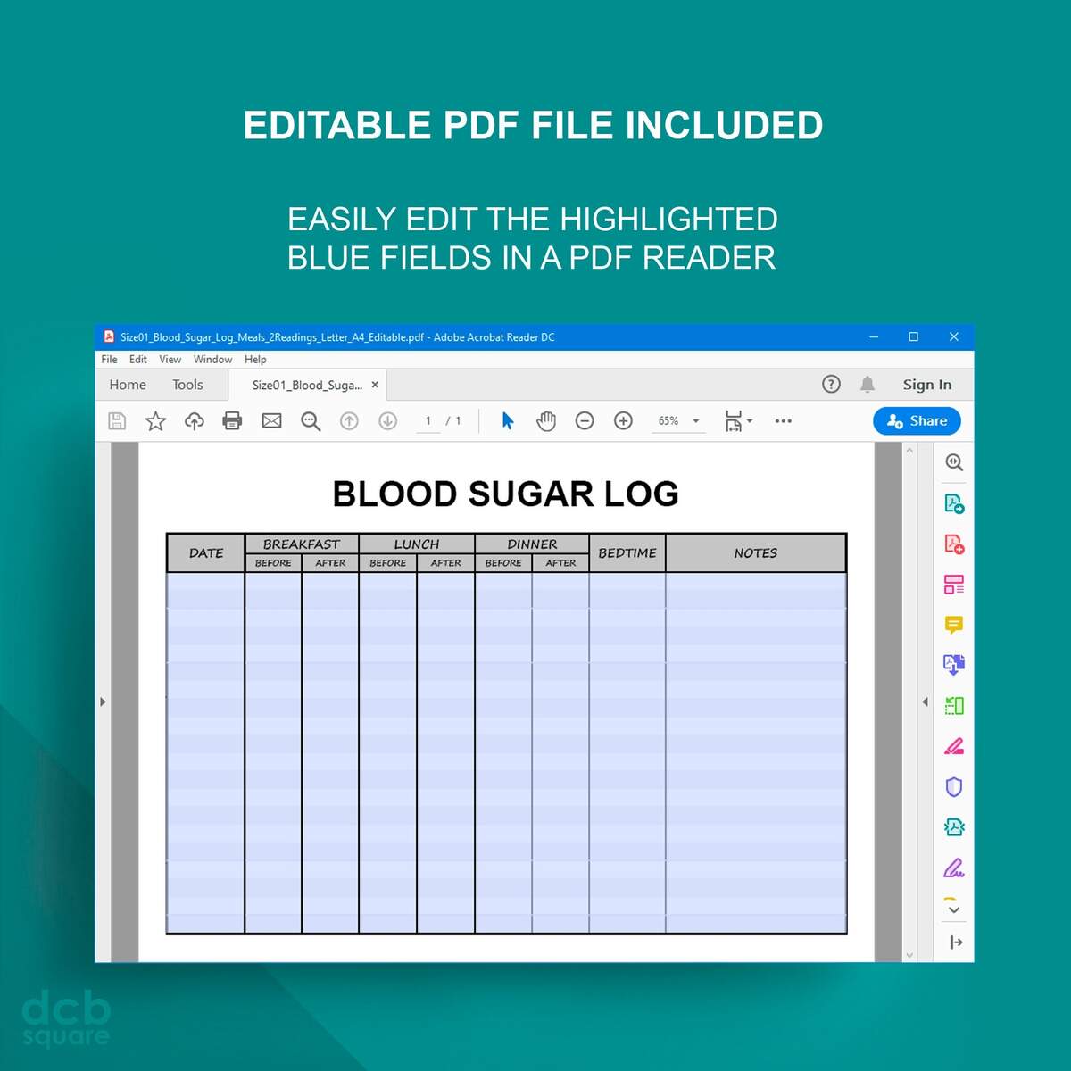 Blood Sugar Log Editable Printable Breakfast Lunch Dinner And Bedtime Before And After Shading Rows Etsy