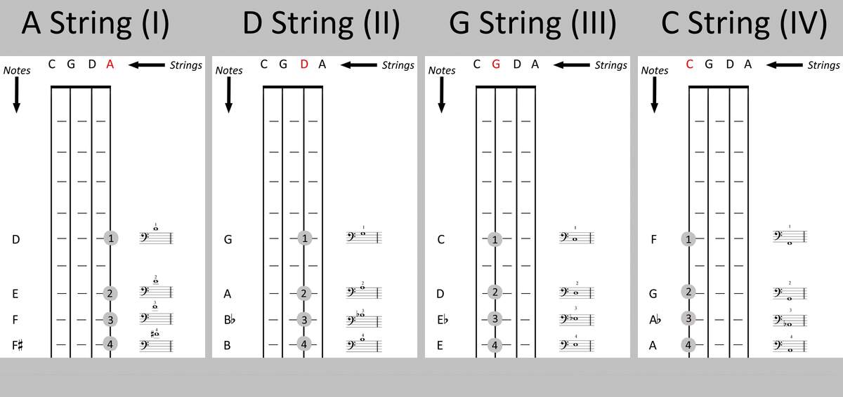 Information Fingering Chart Of The Cello