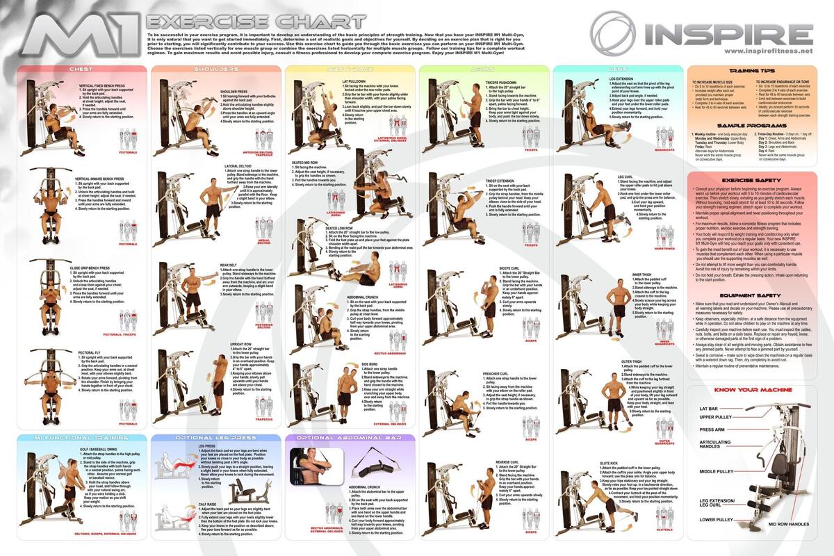 Chart Bowflex Exercise Guide Multi Gym Bowflex Ultimate Exercise Wall Chart Printable Bowflex