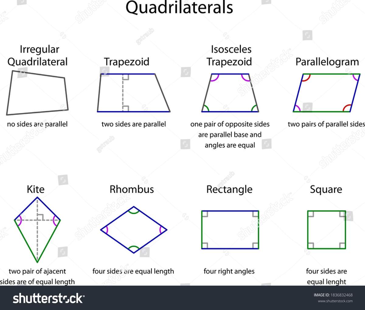 Chart Different Types Quadrilaterals Stock Vector Royalty Free 1836832468 Shutterstock