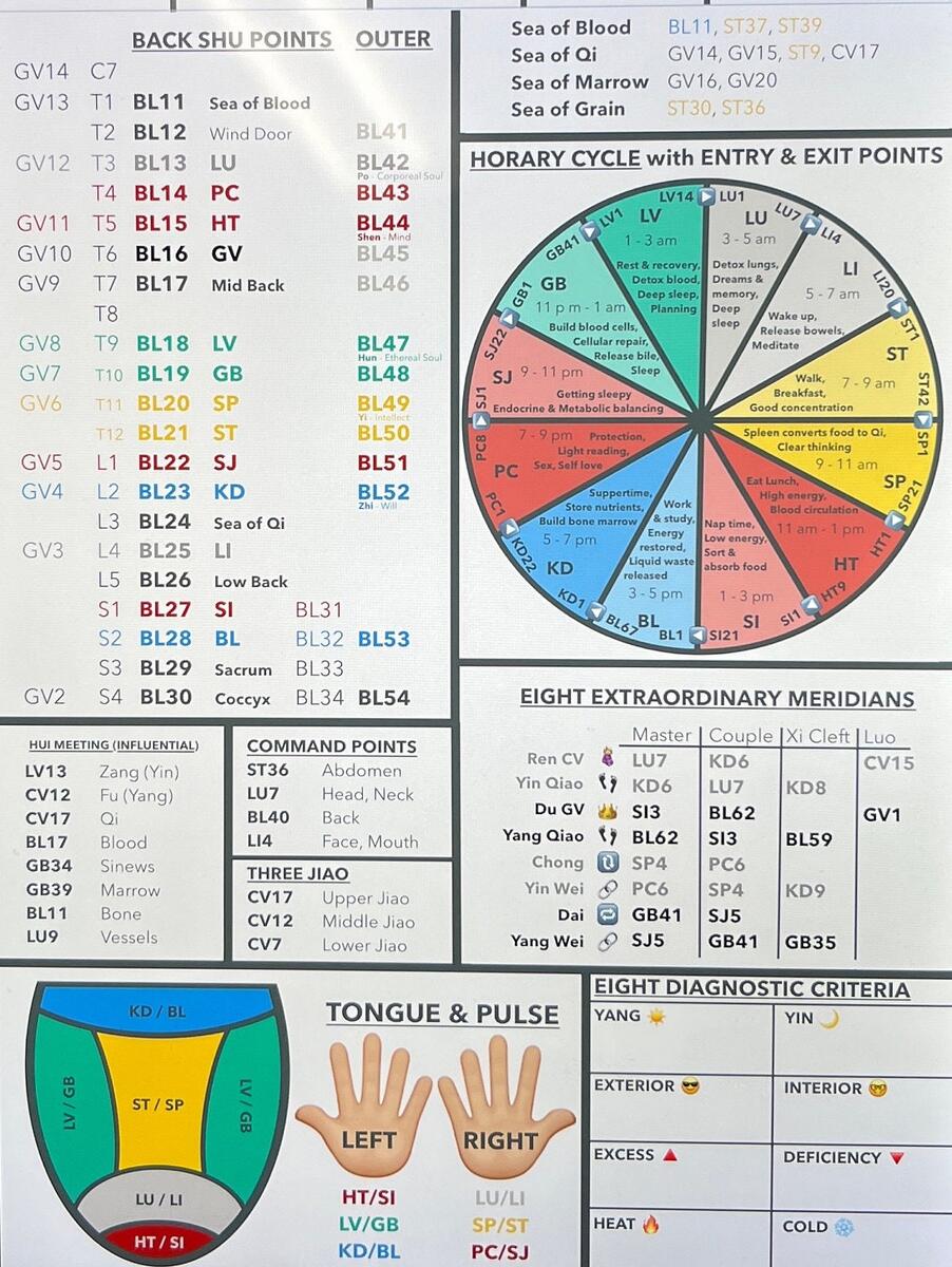 DIGITAL Acupuncture Quick Reference 2 Page PDF Five Element Horary Cycle Tongue Diagnosis Pulse Diagnosis Etsy