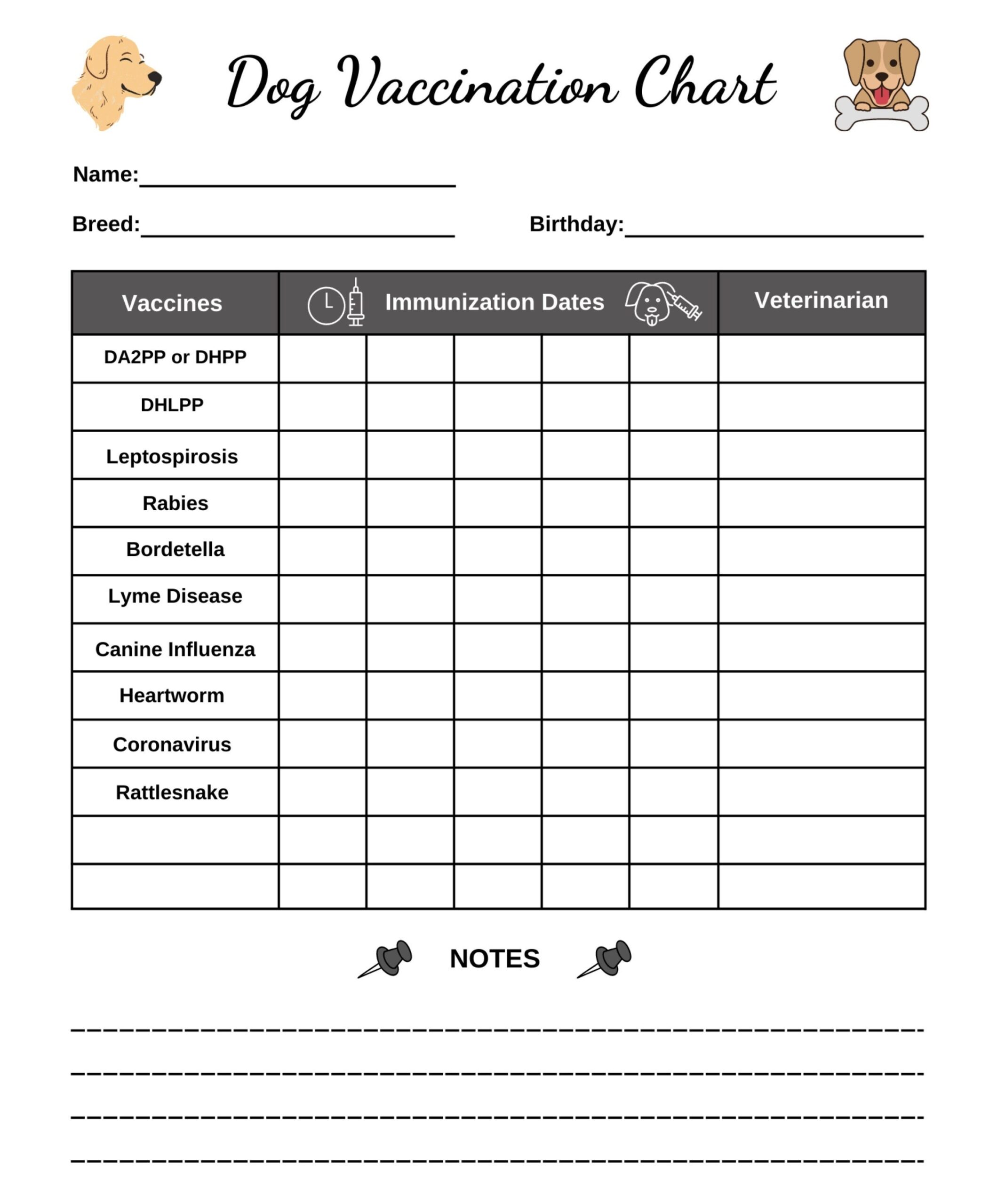 Dog Vaccination Chart Printable Puppy Immunization Record Digital Download Etsy