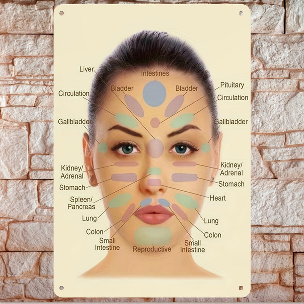 Face Reflexology Chart Printable Sold On Temu United States