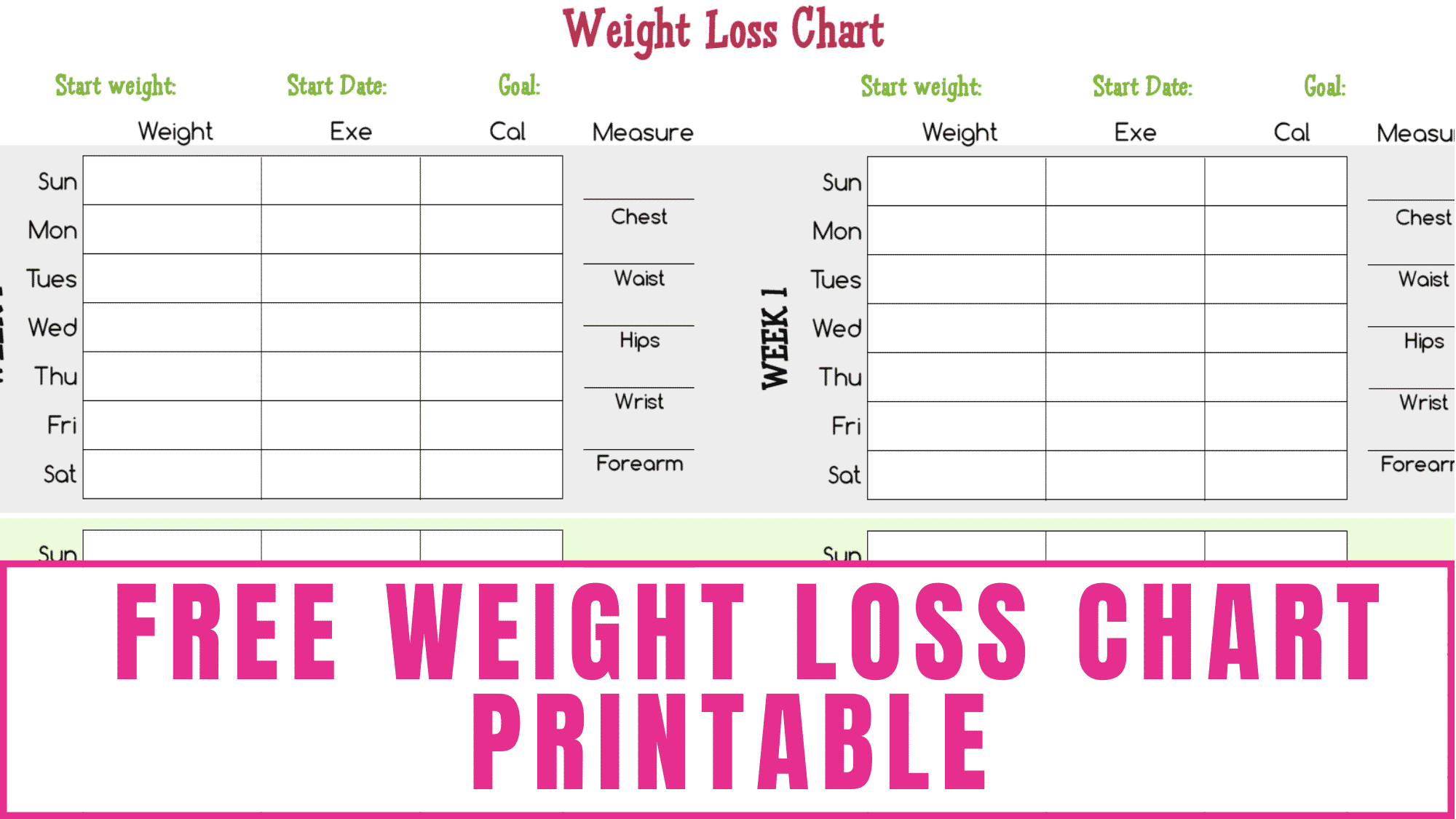 Female Printable Body Measurement Chart