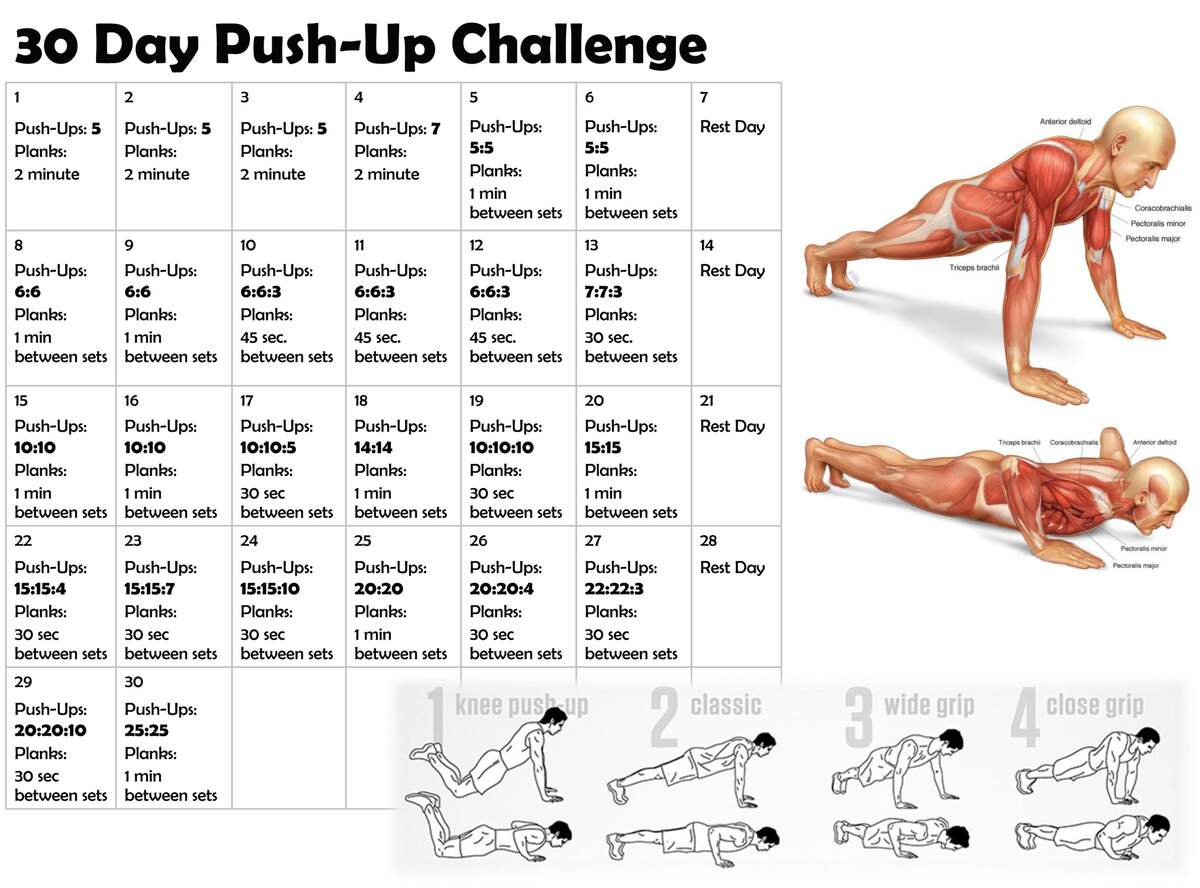 Fitness Push Up Weekly Plan Pdf Perfect Pushup Workout Chart 30 Day Challenge Push Up Workout Fitness Push Up Weekly Plan Pdf Perfect Pushup Workout Chart 30 Day Challenge Push Up Workout