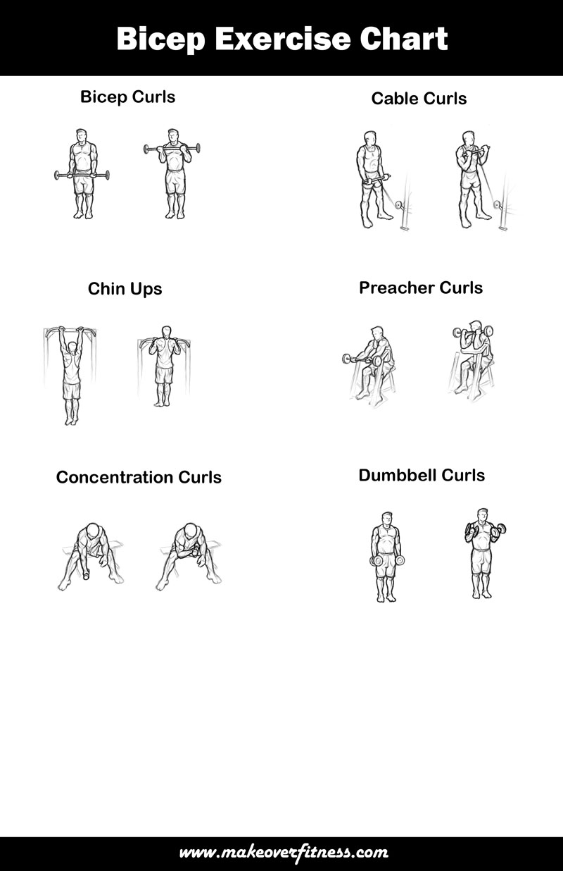 Workout Chart Bicep Moves Workout Chart Biceps Exercise At Home With Dumbbells In Gym Muscle