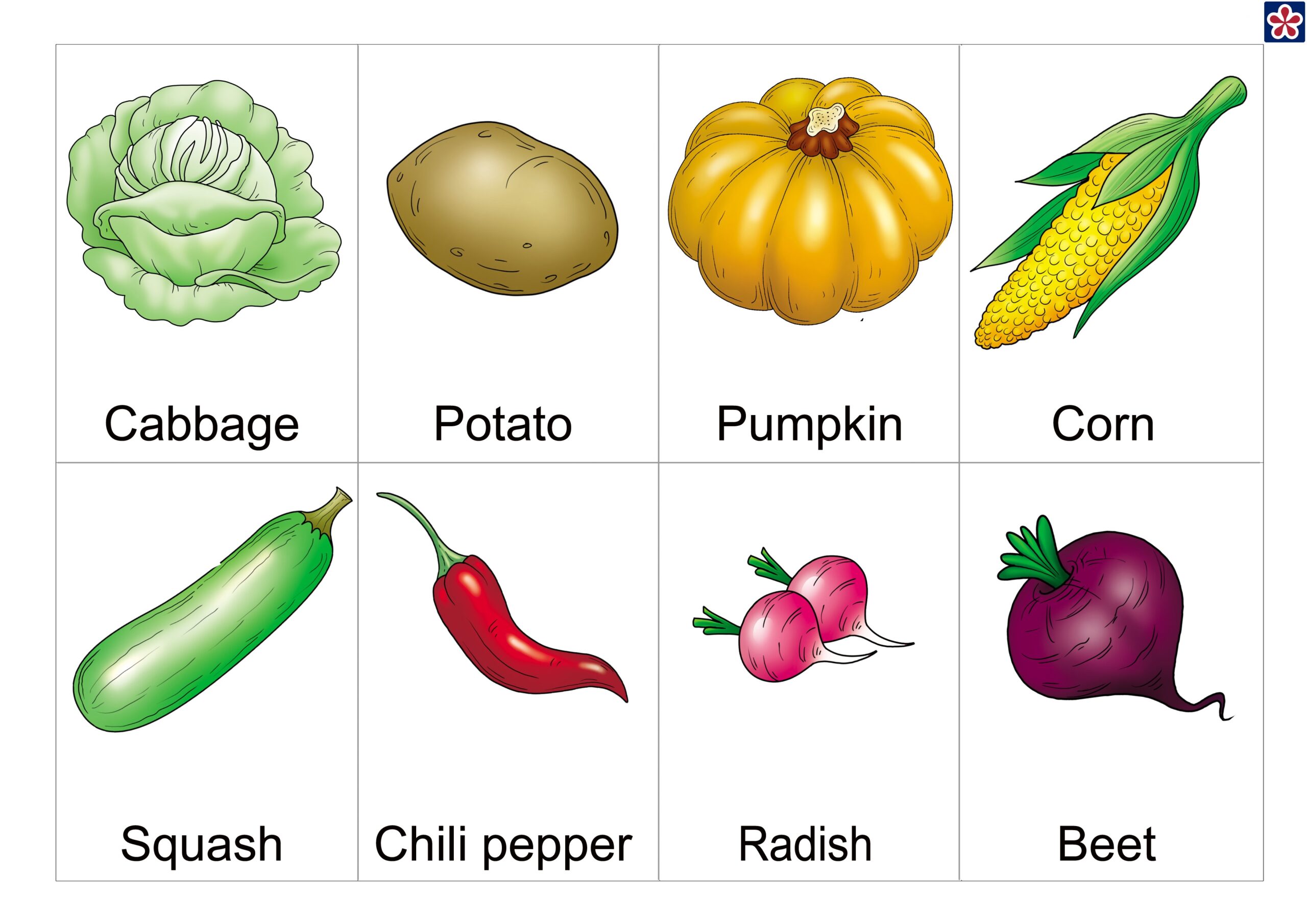 Free Printable Vegetables Flashcards With Names For Preschoolers TeachersMag