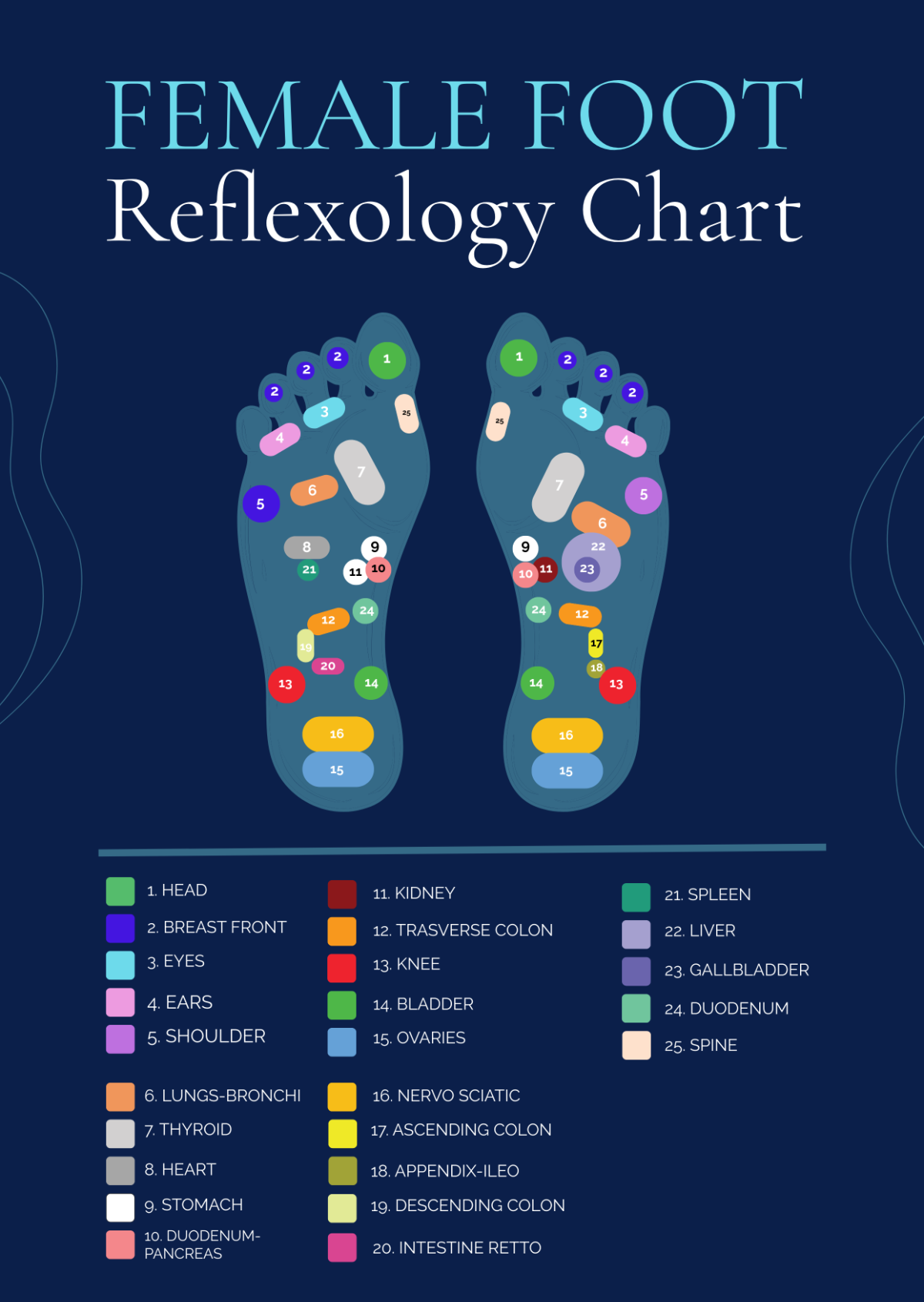 Reflexology Foot Chart Hi Res Stock Photography And Images Alamy
