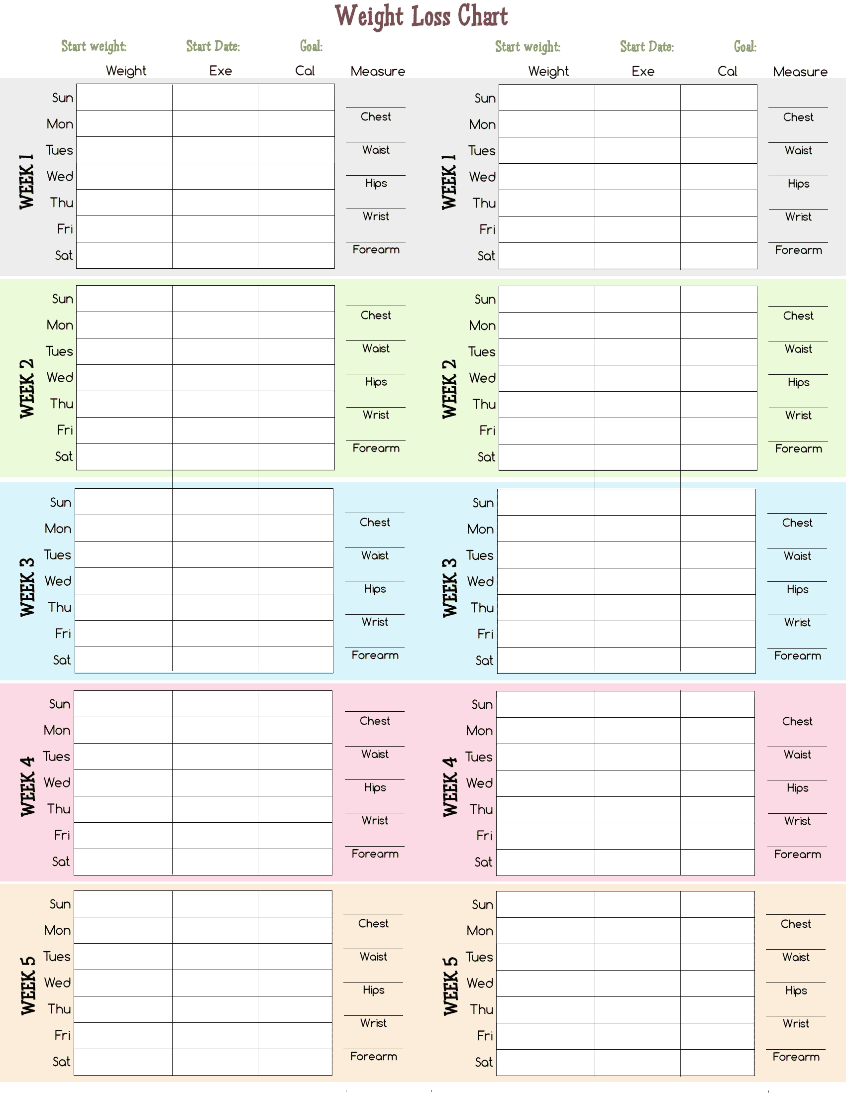 BMI Chart For Women Over 50 In PDF Download Template
