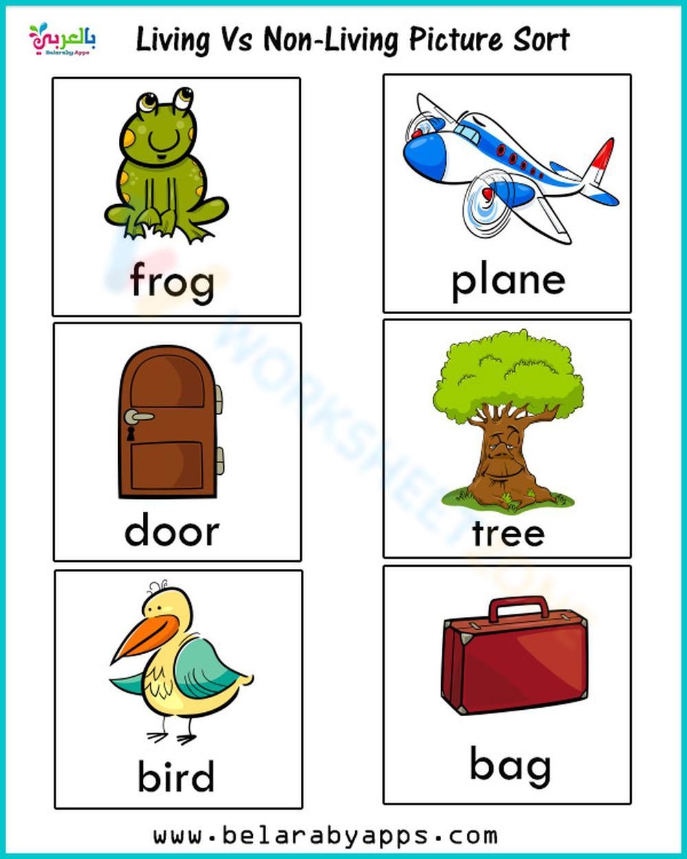 Grade 2 Living And Non Living Things Worksheets Printable Grade 2 Living And Non Living Things Worksheets Printable