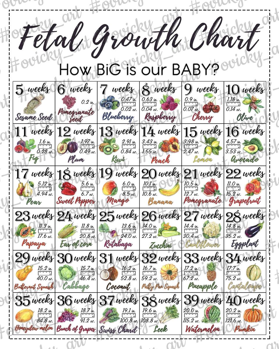 Growth Chart Baby Tracker Week By Week Fetal Growth Chart Baby Size Tracker Printable Fetal Growth