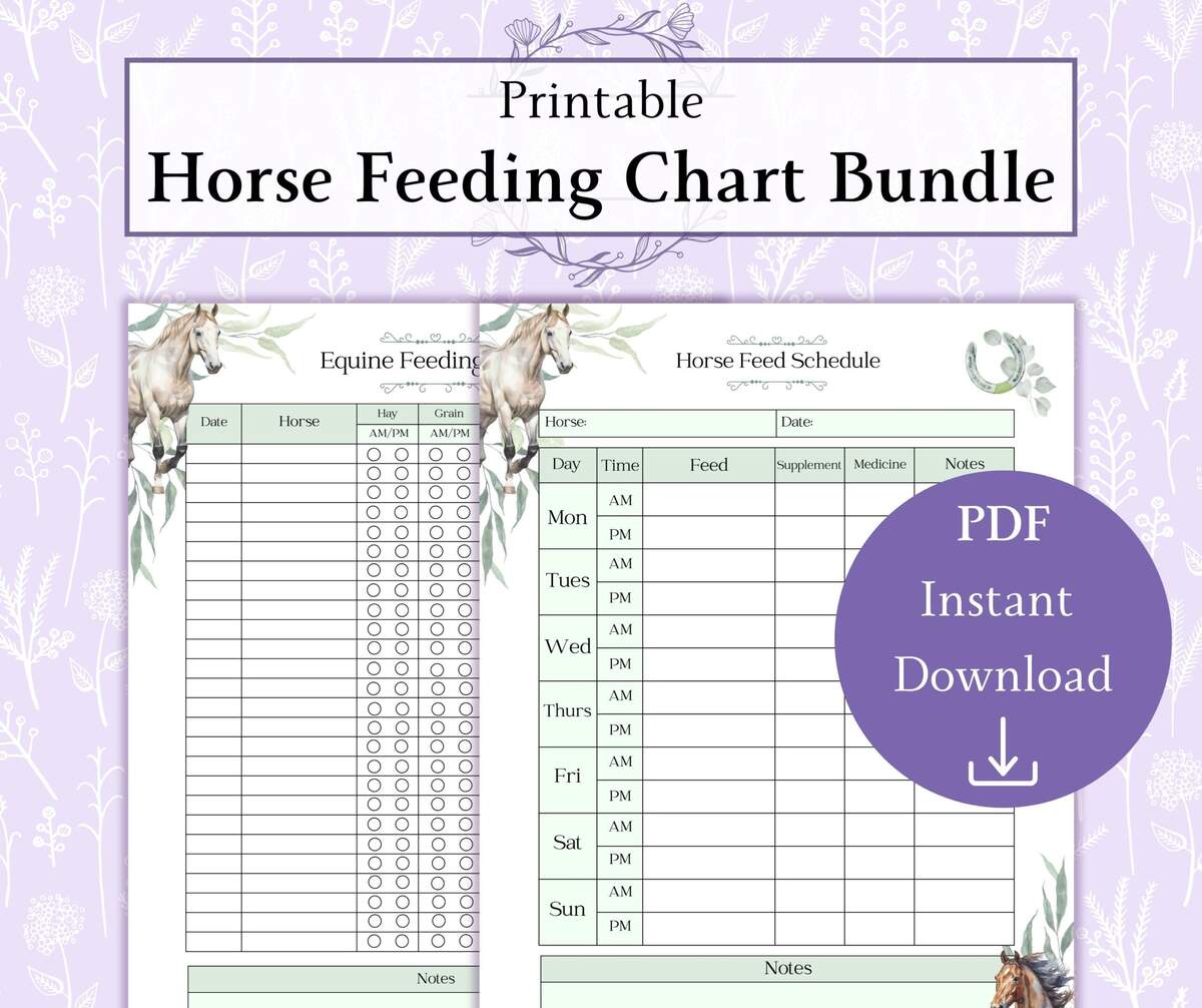 Horse Feeding Chart Bundle Printable PDF Equine Feeding Chart Horse Feed Schedule Equine Record PDF Etsy Horse Feeding Chart Bundle Printable PDF Equine Feeding Chart Horse Feed Schedule Equine Record PDF Etsy
