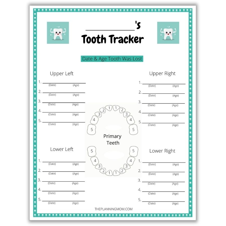 How To Track Your Child S Teeth The Planning Mom