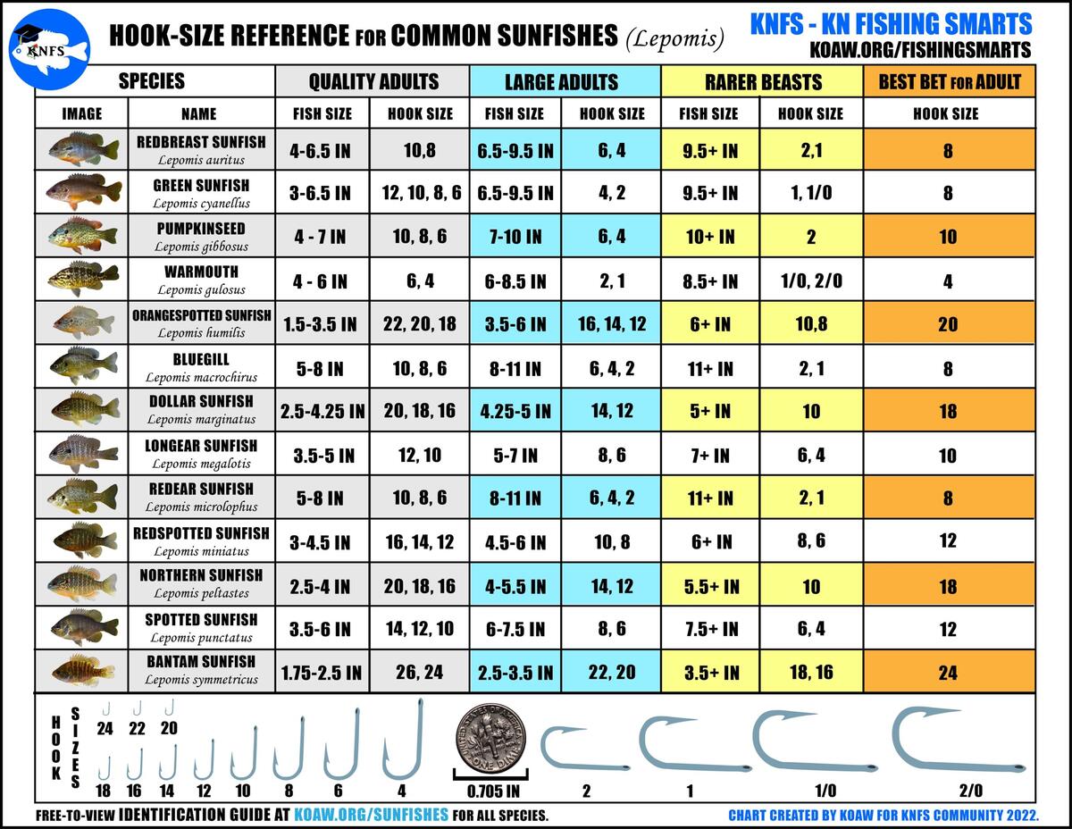 KNFS Free Hook Size Chart For Common Sunfishes Bluegill Longear Sunfish Green Sunfish Redear Sunfish And More Koaw Nature KNFS Free Hook Size Chart For Common Sunfishes Bluegill Longear Sunfish Green Sunfish Redear Sunfish And More Koaw Nature