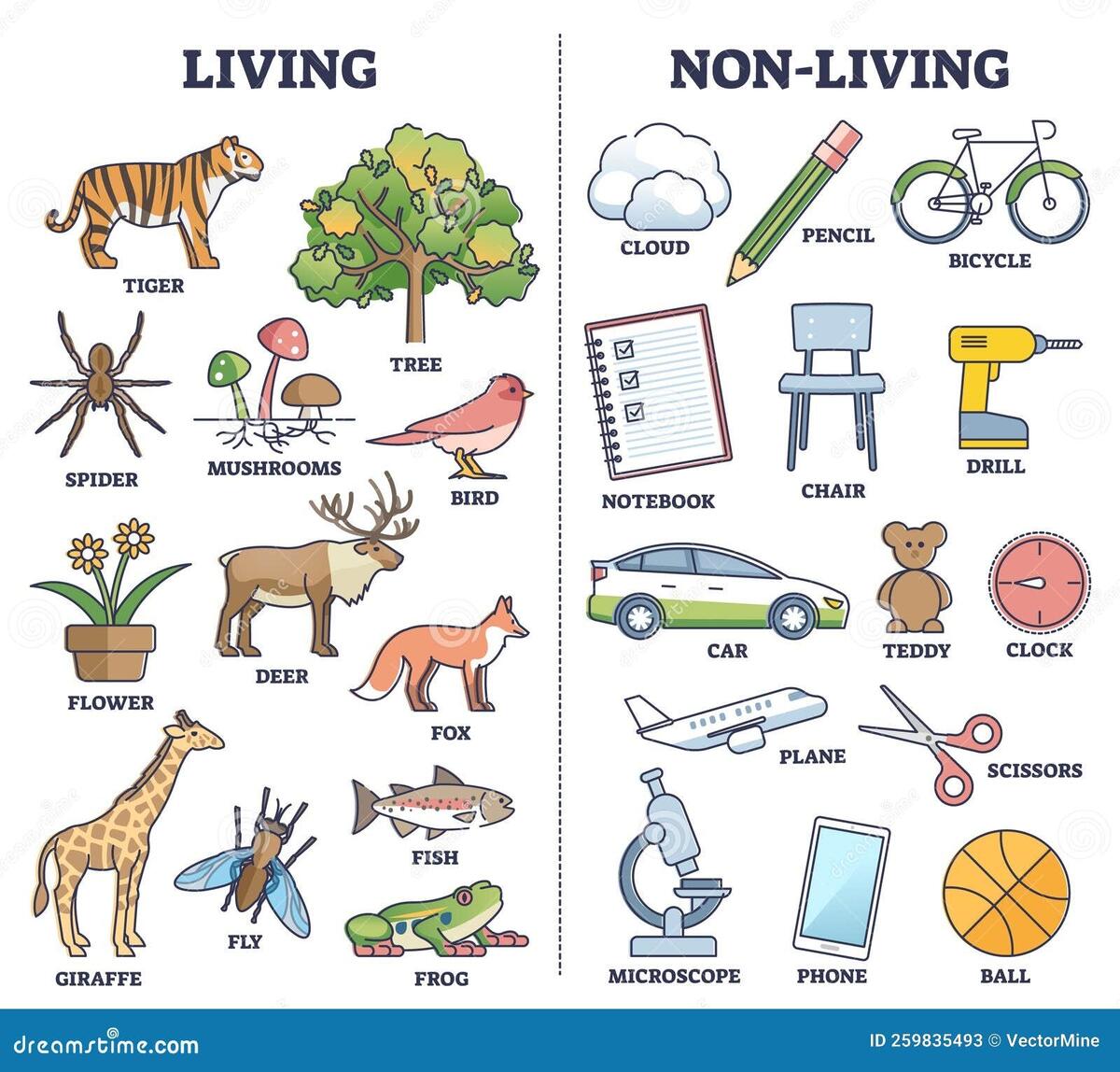 Living Vs Non Living Things Comparison For Kids Teaching Outline Diagram Stock Vector Illustration Of Vector Knowledge 259835493 Grade 2 Living And Non Living Things Worksheets Printable