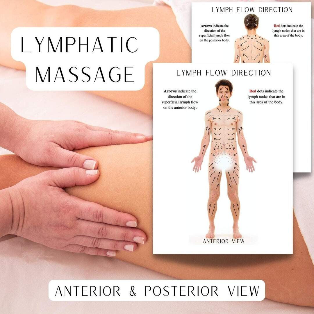 Lymphatic Drainage Chart Etsy