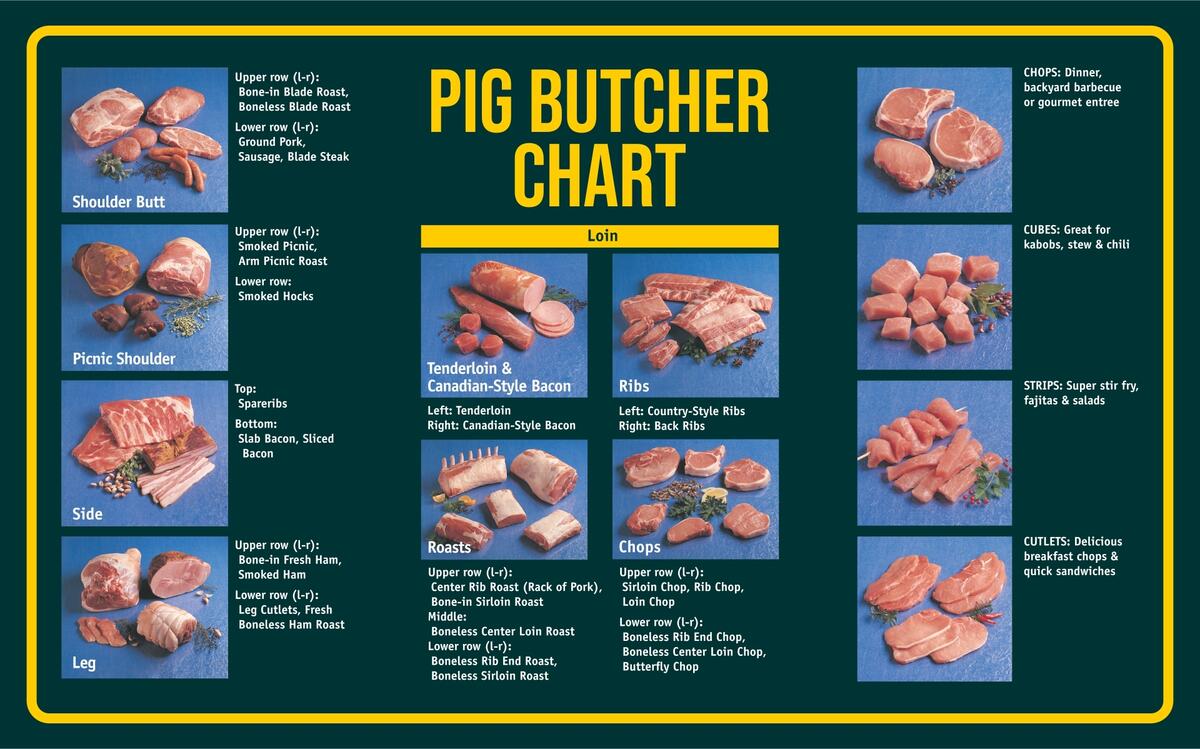 Pig Drawing Guide Hi Res Stock Photography And Images Alamy