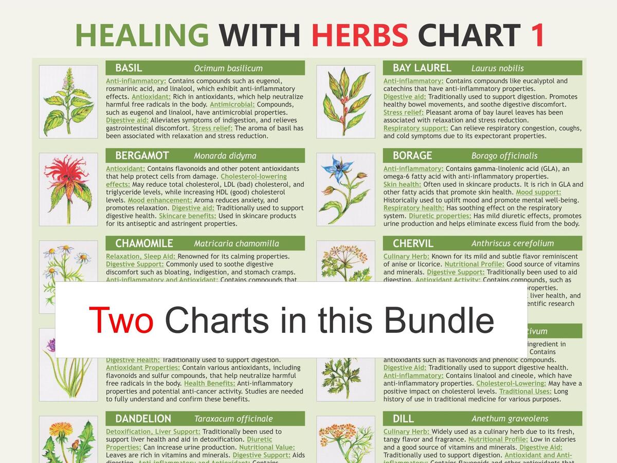 Medicinal Chart Etsy