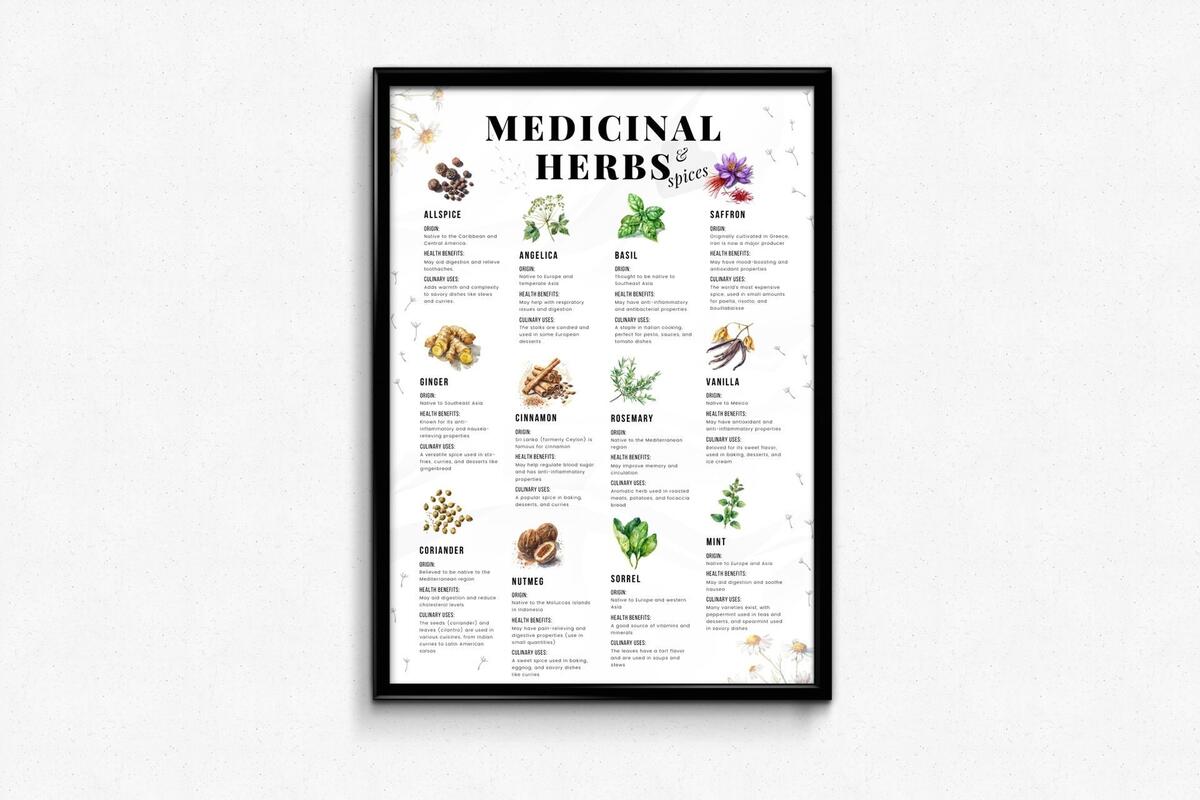 Medicinal Herbs Poster Spice Guide Herb Chart Kitchen Decor Culinary Herbs Spices Health Benefits Cooking With Herbs Gift For Health Nut Etsy
