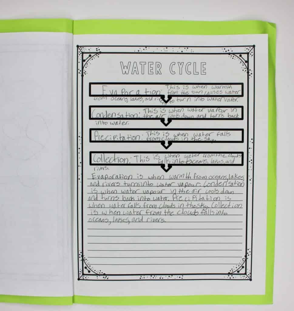 Nonfiction Text Structure Lessons Ashleigh S Education Journey