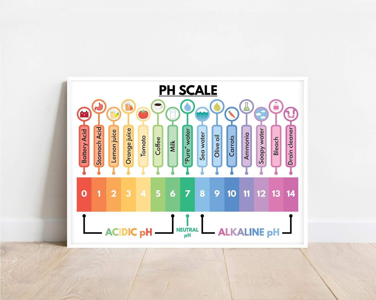 Ph Chart Printable Etsy