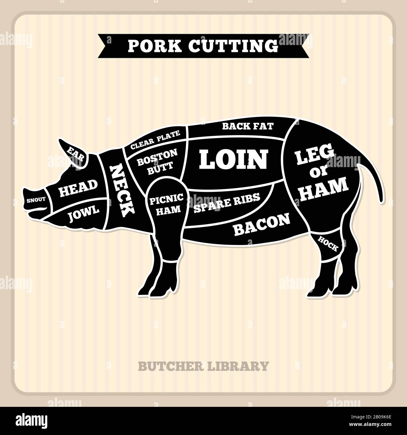 Pig Drawing Guide Hi Res Stock Photography And Images Alamy