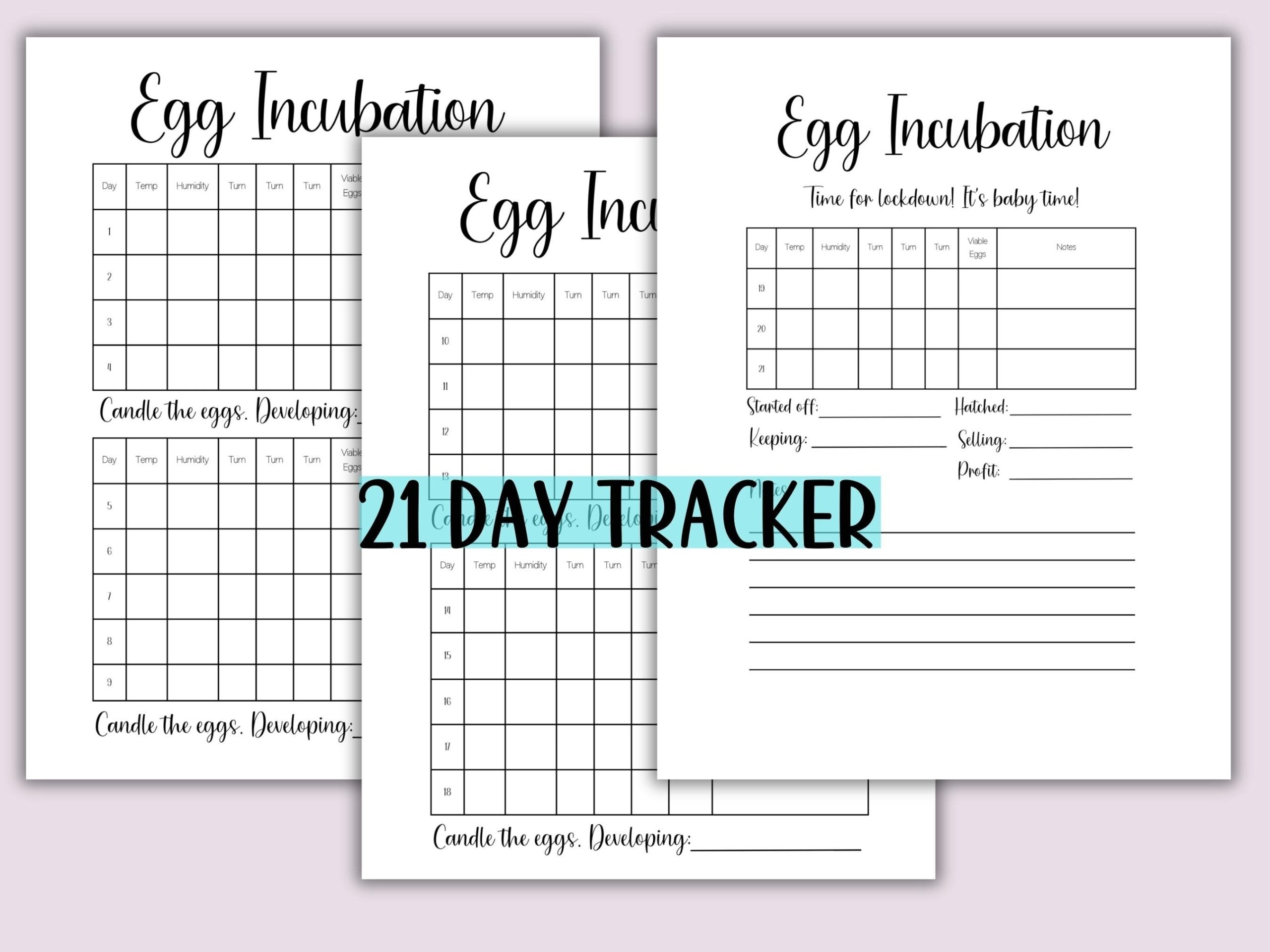 Printable Chicken Egg Incubation Calendar Incubation Log Incubation Tracker For Hatching Eggs And Hatching Chicks To Raise Chickens Etsy
