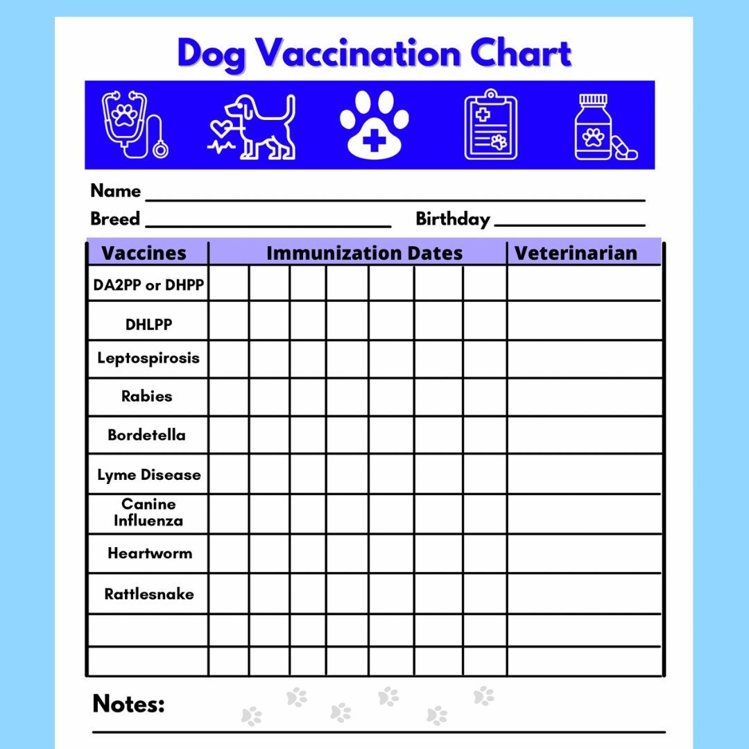 Printable Dog Puppy Vaccination Dates Puppy And Dog Vaccinations A Schedule For Every Life Stage PetMD Printable Dog Puppy Vaccination Dates Puppy And Dog Vaccinations A Schedule For Every Life Stage PetMD