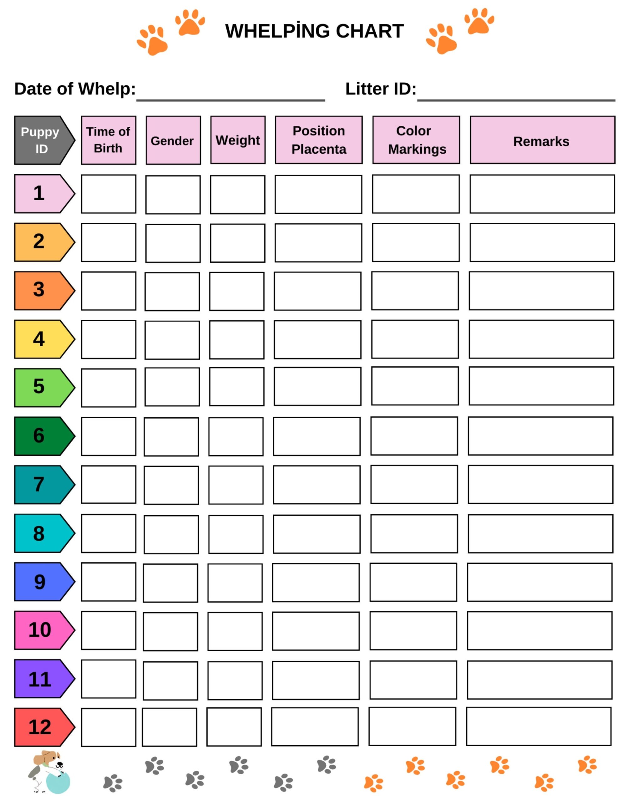 Whelping Chart Editable Whelping Record Puppy Whelping Breeder Forms Printable PDF Instant Download Etsy