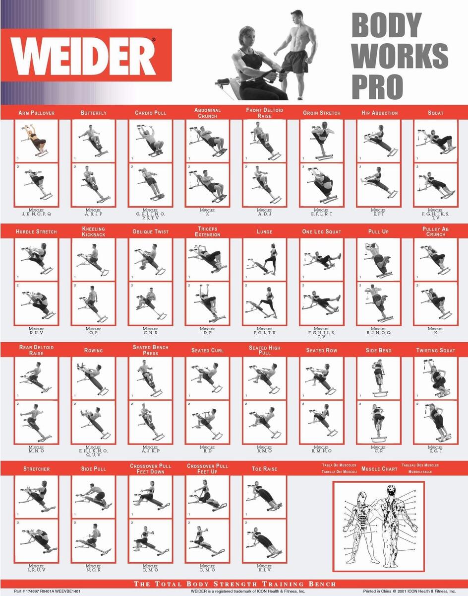 HOT Weider Body Works Pro Exercise Chart Exercises Body Works Weider Weider Total Gym Exercise Chart Body