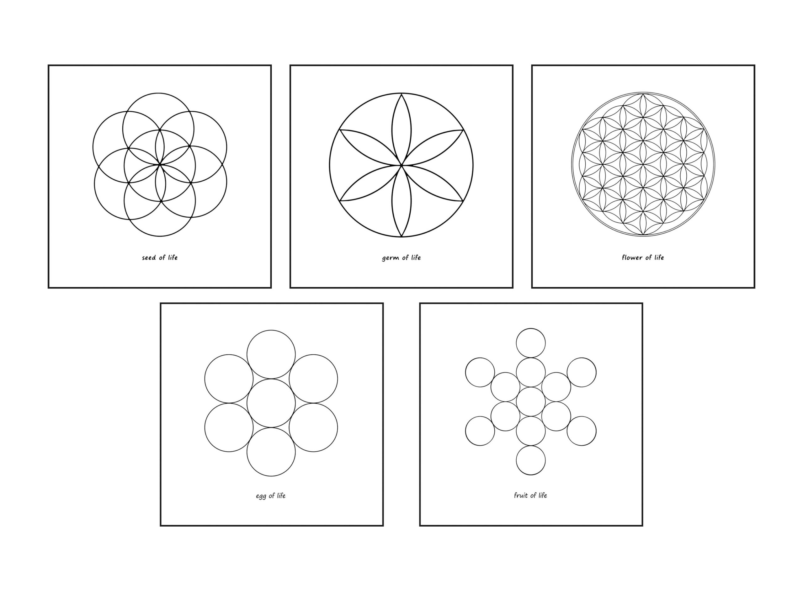 Sacred Geometry Egg Of Life Fruit Of Life Seed Of Life Germ Of Life Flower Of Life Genesis Downloadable Digital Print Yoga Room Etsy Sacred Geometry SVG Bundle Hermetic Polygrams Polygons Digital Download Etsy