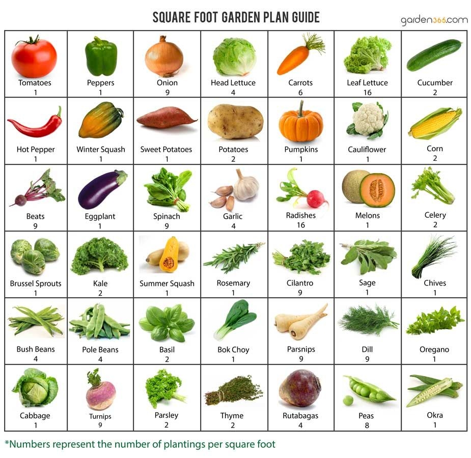 Square Foot Gardening Nourish Project Square Foot Gardening Nourish Project