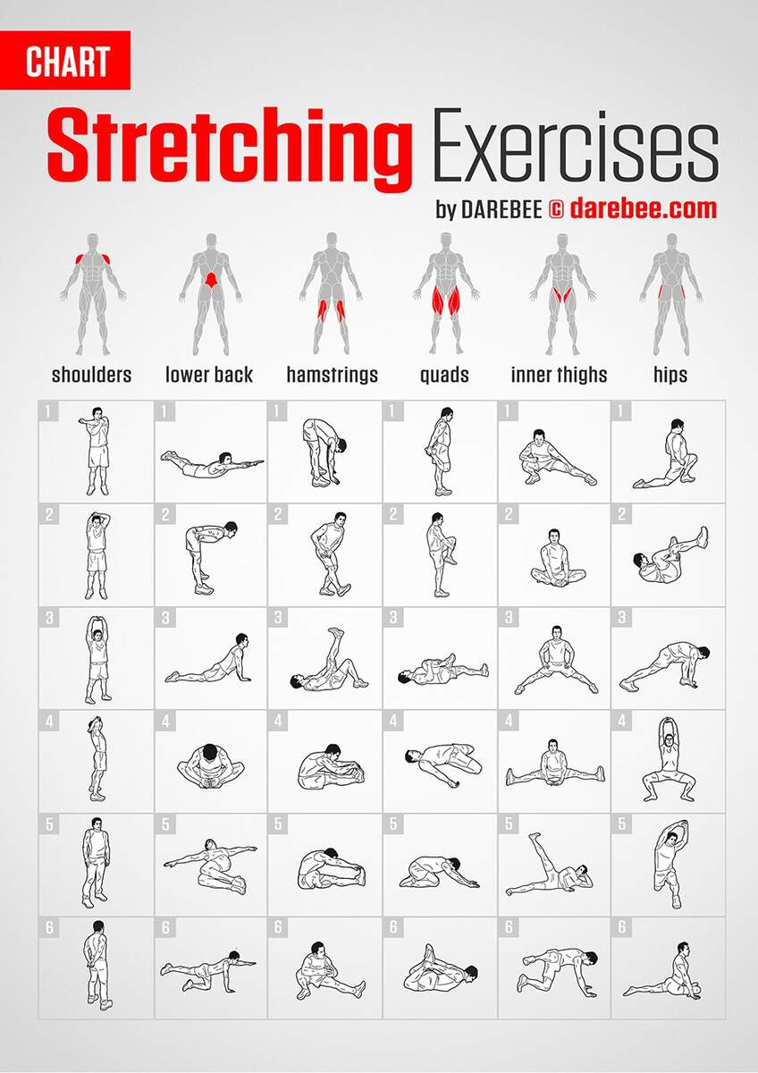 Stretching Exercises Chart In Illustrator PDF Download Template