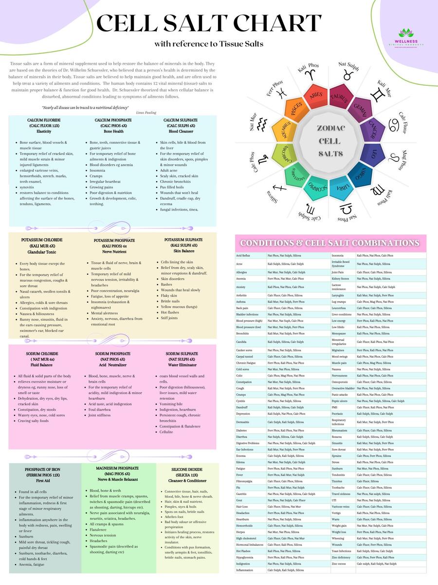 TISSUE CELL SALT Digital Chart Etsy Canada