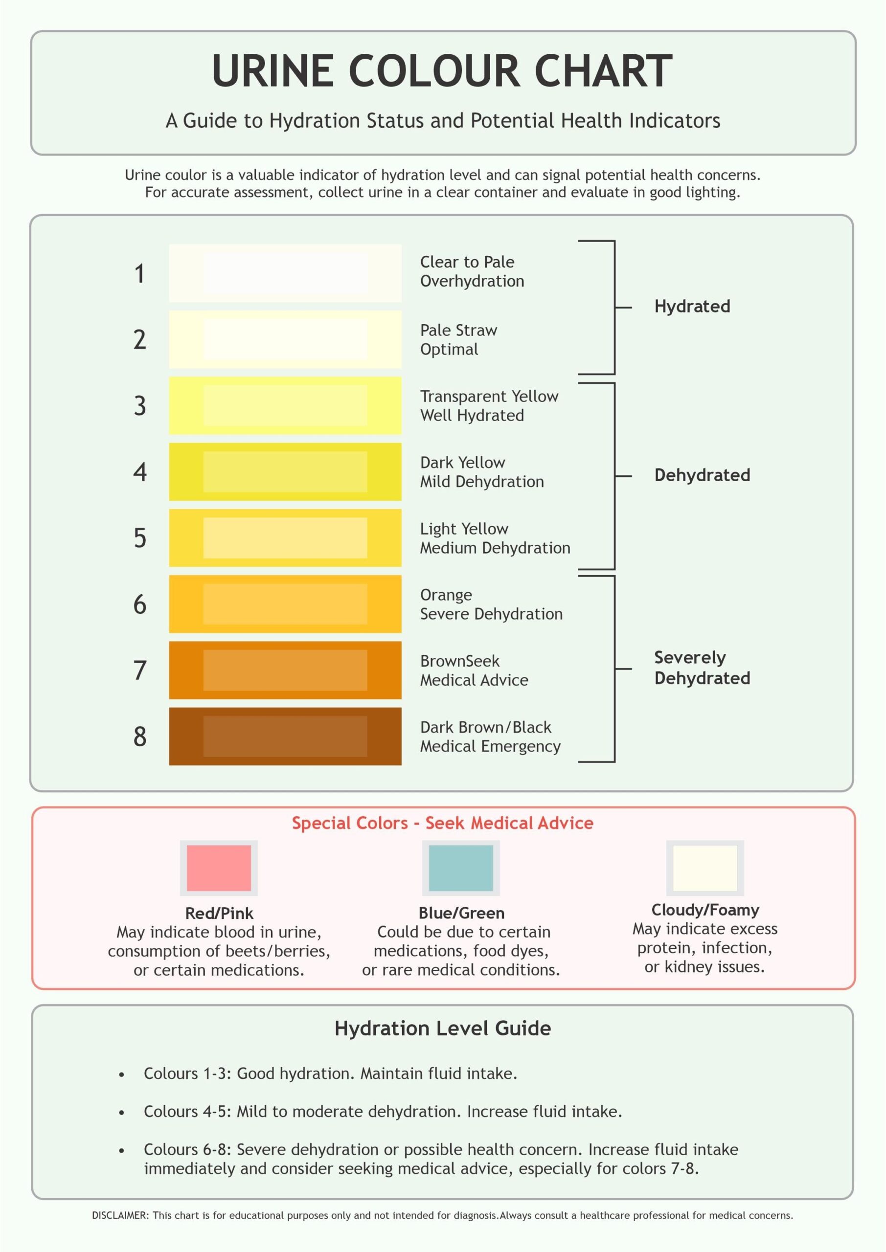 Urine Color Dehydration Urine Color Chart Vector Illustration Stock Vector Adobe Stock
