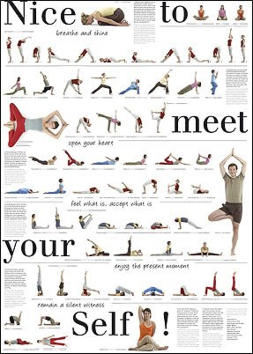Wall Chart Intermediate Reformer Workout Pdf Free STOTT PILATES Wall Chart Intermediate Matwork Wall